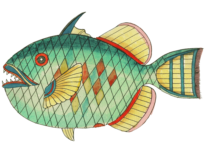 Colourful and surreal illustrations of fishes found in Moluccas (Indonesia) and the East Indies by Louis Renard (1678 -1746) from Histoire naturelle des plus rares curiositez de la mer des Indes (1754).