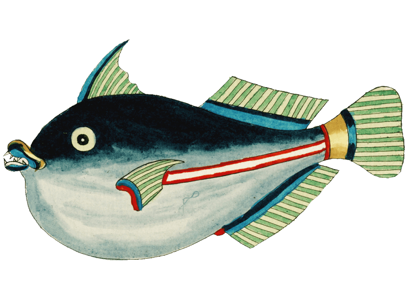 Colourful and surreal illustrations of fishes found in Moluccas (Indonesia) and the East Indies by Louis Renard (1678 -1746) from Histoire naturelle des plus rares curiositez de la mer des Indes (1754).