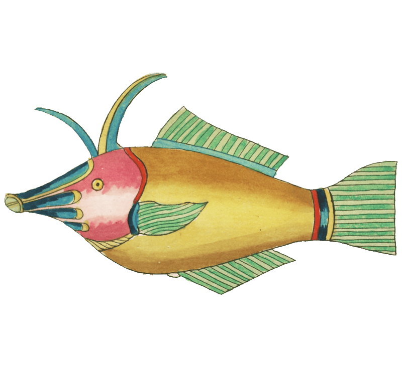 Colourful and surreal illustrations of fishes found in Moluccas (Indonesia) and the East Indies by Louis Renard (1678 -1746) from Histoire naturelle des plus rares curiositez de la mer des Indes (1754).