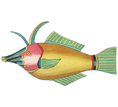 Colourful and surreal illustrations of fishes found in Moluccas (Indonesia) and the East Indies by Louis Renard (1678 -1746) from Histoire naturelle des plus rares curiositez de la mer des Indes (1754).