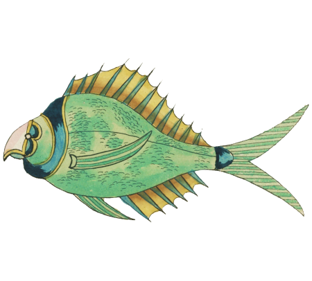 Colourful and surreal illustrations of fishes found in Moluccas (Indonesia) and the East Indies by Louis Renard (1678 -1746) from Histoire naturelle des plus rares curiositez de la mer des Indes (1754).