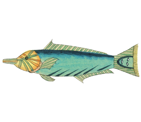 Colourful and surreal illustrations of fishes found in Moluccas (Indonesia) and the East Indies by Louis Renard (1678 -1746) from Histoire naturelle des plus rares curiositez de la mer des Indes (1754).