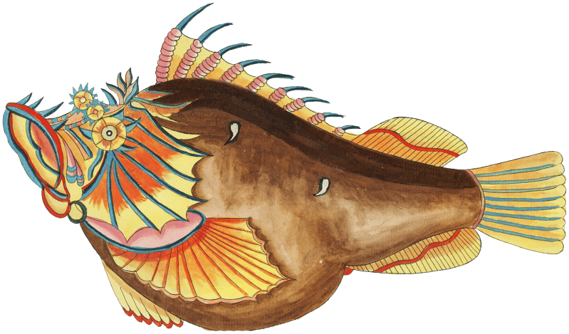 Colourful and surreal illustrations of fishes found in Moluccas (Indonesia) and the East Indies by Louis Renard (1678 -1746) from Histoire naturelle des plus rares curiositez de la mer des Indes (1754).