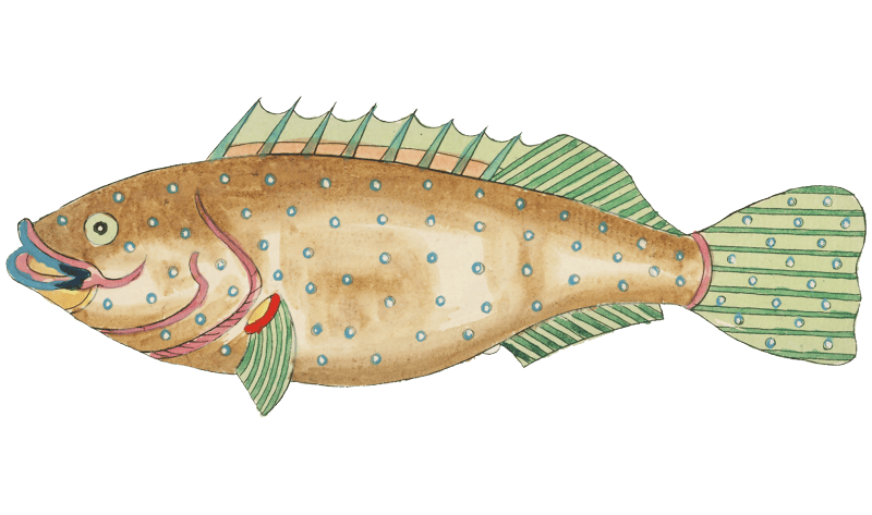 Colourful and surreal illustrations of fishes found in Moluccas (Indonesia) and the East Indies by Louis Renard (1678 -1746) from Histoire naturelle des plus rares curiositez de la mer des Indes (1754).
