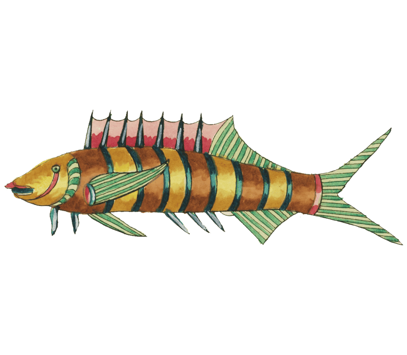 Colourful and surreal illustrations of fishes found in Moluccas (Indonesia) and the East Indies by Louis Renard (1678 -1746) from Histoire naturelle des plus rares curiositez de la mer des Indes (1754).