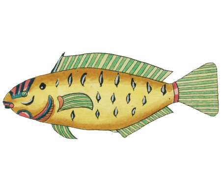 Colourful and surreal illustrations of fishes found in Moluccas (Indonesia) and the East Indies by Louis Renard (1678 -1746) from Histoire naturelle des plus rares curiositez de la mer des Indes (1754).