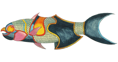 Colourful and surreal illustrations of fishes found in Moluccas (Indonesia) and the East Indies by Louis Renard (1678 -1746) from Histoire naturelle des plus rares curiositez de la mer des Indes (1754).