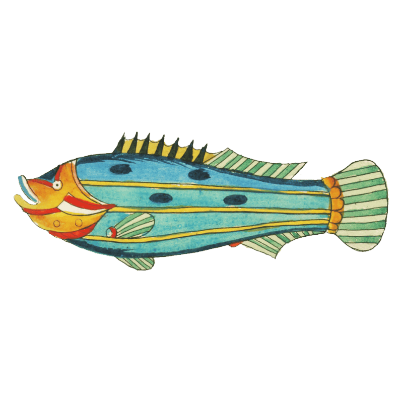 Colourful and surreal illustrations of fishes found in Moluccas (Indonesia) and the East Indies by Louis Renard (1678 -1746) from Histoire naturelle des plus rares curiositez de la mer des Indes (1754).
