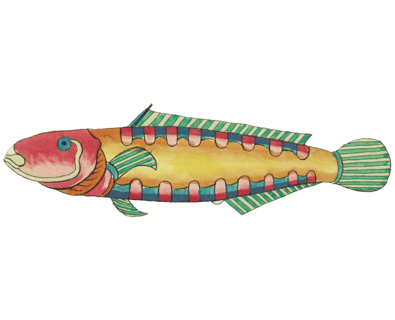Colourful and surreal illustrations of fishes found in Moluccas (Indonesia) and the East Indies by Louis Renard (1678 -1746) from Histoire naturelle des plus rares curiositez de la mer des Indes (1754).