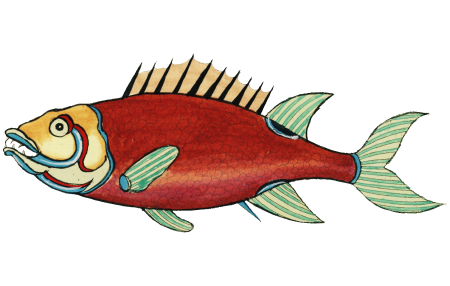 Colourful and surreal illustrations of fishes found in Moluccas (Indonesia) and the East Indies by Louis Renard (1678 -1746) from Histoire naturelle des plus rares curiositez de la mer des Indes (1754).