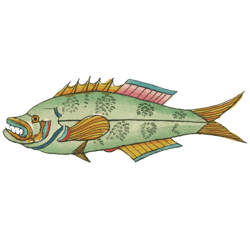 Colourful and surreal illustrations of fishes found in Moluccas (Indonesia) and the East Indies by Louis Renard (1678 -1746) from Histoire naturelle des plus rares curiositez de la mer des Indes (1754).