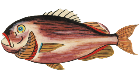 Colourful and surreal illustrations of fishes found in Moluccas (Indonesia) and the East Indies by Louis Renard (1678 -1746) from Histoire naturelle des plus rares curiositez de la mer des Indes (1754).
