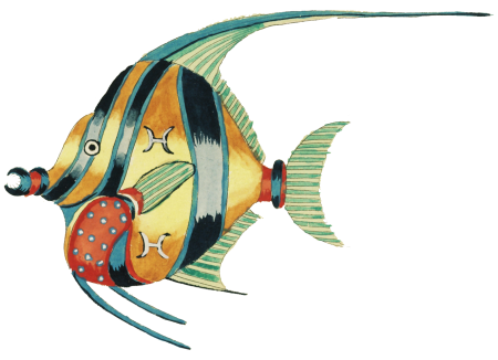 Colourful and surreal illustrations of fishes and crab found in the Indian and Pacific Oceans by Louis Renard (1678 -1746) from Histoire naturelle des plus rares curiositez de la mer des Indes (1754).
