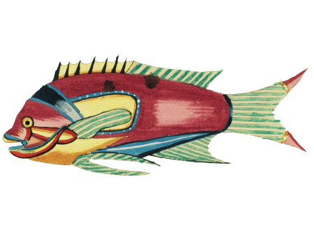 Colourful and surreal illustrations of fishes and crab found in the Indian and Pacific Oceans by Louis Renard (1678 -1746) from Histoire naturelle des plus rares curiositez de la mer des Indes (1754).