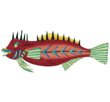 Colourful and surreal illustrations of fishes and crabs found in Moluccas (Indonesia) and the East Indies by Louis Renard (1678 -1746) from Histoire naturelle des plus rares curiositez de la mer des Indes (1754).