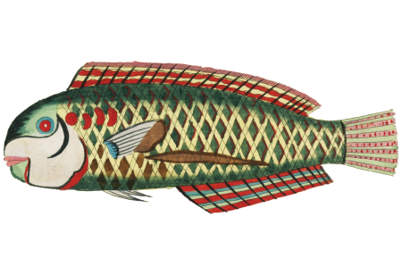 Colourful and surreal illustrations of fishes found in Moluccas (Indonesia) and the East Indies by Louis Renard (1678 -1746) from Histoire naturelle des plus rares curiositez de la mer des Indes (1754).