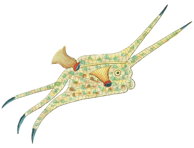 Colourful and surreal illustrations of fishes found in Moluccas (Indonesia) and the East Indies by Louis Renard (1678 -1746) from Histoire naturelle des plus rares curiositez de la mer des Indes (1754).