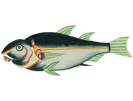 Colourful and surreal illustrations of fishes and crabs found in Moluccas (Indonesia) and the East Indies by Louis Renard (1678 -1746) from Histoire naturelle des plus rares curiositez de la mer des Indes (1754).