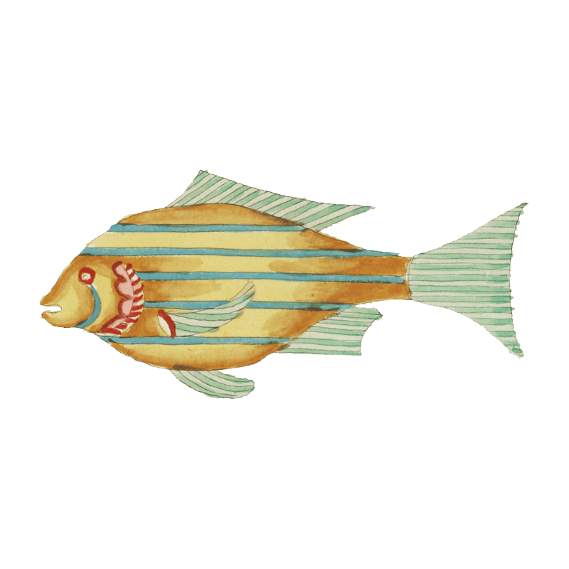 Colourful and surreal illustrations of fishes found in Moluccas (Indonesia) and the East Indies by Louis Renard (1678 -1746) from Histoire naturelle des plus rares curiositez de la mer des Indes (1754).