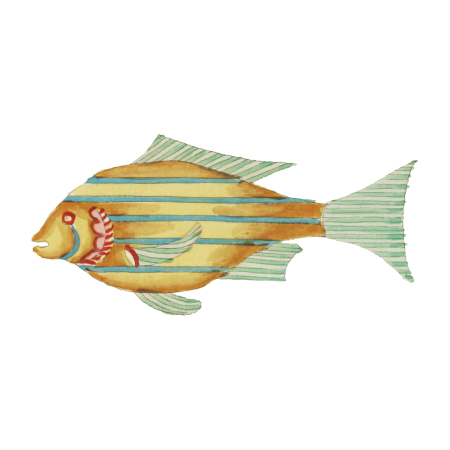 Colourful and surreal illustrations of fishes found in Moluccas (Indonesia) and the East Indies by Louis Renard (1678 -1746) from Histoire naturelle des plus rares curiositez de la mer des Indes (1754).