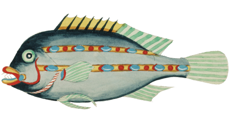 Colourful and surreal illustrations of fishes found in Moluccas (Indonesia) and the East Indies by Louis Renard (1678 -1746) from Histoire naturelle des plus rares curiositez de la mer des Indes (1754).