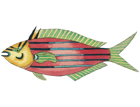 Colourful and surreal illustrations of fishes found in Moluccas (Indonesia) and the East Indies by Louis Renard (1678 -1746) from Histoire naturelle des plus rares curiositez de la mer des Indes (1754).