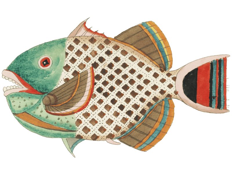 Colourful and surreal illustrations of fishes and lobster found in Moluccas (Indonesia) and the East Indies by Louis Renard (1678 -1746) from Histoire naturelle des plus rares curiositez de la mer des Indes (1754).