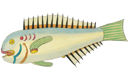 Colourful and surreal illustrations of fishes and crab found in the Indian and Pacific Oceans by Louis Renard (1678 -1746) from Histoire naturelle des plus rares curiositez de la mer des Indes (1754).