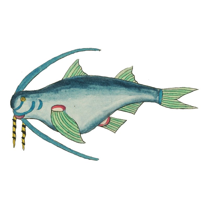 Colourful and surreal illustrations of fishes and crab found in the Indian and Pacific Oceans by Louis Renard (1678 -1746) from Histoire naturelle des plus rares curiositez de la mer des Indes (1754).