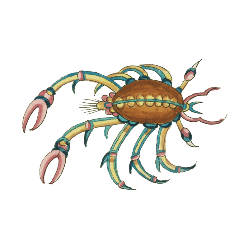 Colourful and surreal illustrations of fishes and crab found in Moluccas (Indonesia) and the East Indies by Louis Renard (1678 -1746) from Histoire naturelle des plus rares curiositez de la mer des Indes (1754).
