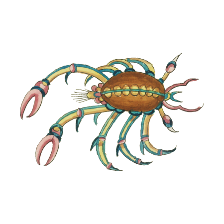Colourful and surreal illustrations of fishes and crab found in Moluccas (Indonesia) and the East Indies by Louis Renard (1678 -1746) from Histoire naturelle des plus rares curiositez de la mer des Indes (1754).