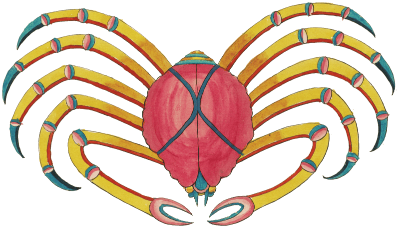 Colourful and surreal illustrations of fishes and crab found in the Indian and Pacific Oceans by Louis Renard (1678 -1746) from Histoire naturelle des plus rares curiositez de la mer des Indes (1754).