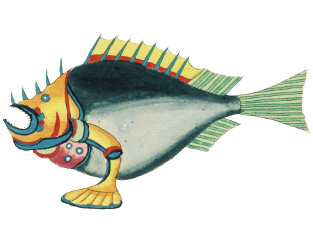 Colourful and surreal illustrations of fishes found in Moluccas (Indonesia) and the East Indies by Louis Renard (1678 -1746) from Histoire naturelle des plus rares curiositez de la mer des Indes (1754).