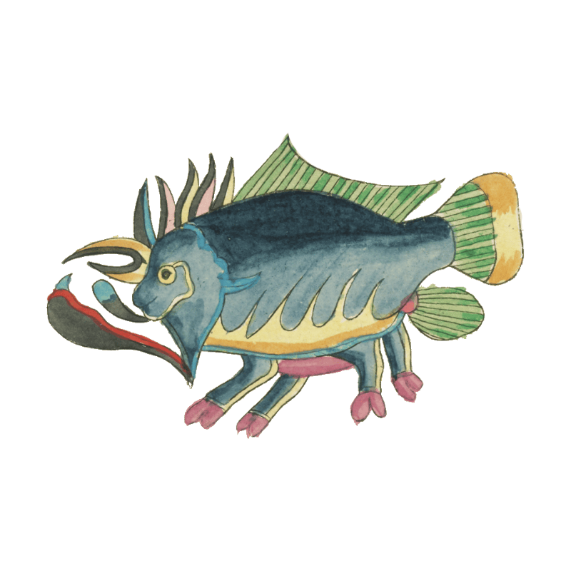 Colourful and surreal illustrations of fishes found in Moluccas (Indonesia) and the East Indies by Louis Renard (1678 -1746) from Histoire naturelle des plus rares curiositez de la mer des Indes (1754).