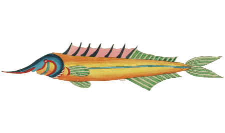 Colourful and surreal illustrations of fishes and crabs found in the Indian and Pacific Oceans by Louis Renard (1678 -1746) from Histoire naturelle des plus rares curiositez de la mer des Indes (1754).