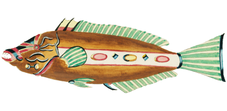 Colourful and surreal illustrations of fishes found in Moluccas (Indonesia) and the East Indies by Louis Renard (1678 -1746) from Histoire naturelle des plus rares curiositez de la mer des Indes (1754).