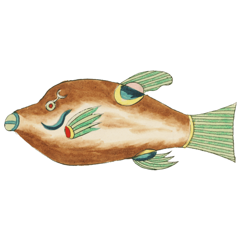 Colourful and surreal illustrations of fishes found in Moluccas (Indonesia) and the East Indies by Louis Renard (1678 -1746) from Histoire naturelle des plus rares curiositez de la mer des Indes (1754).