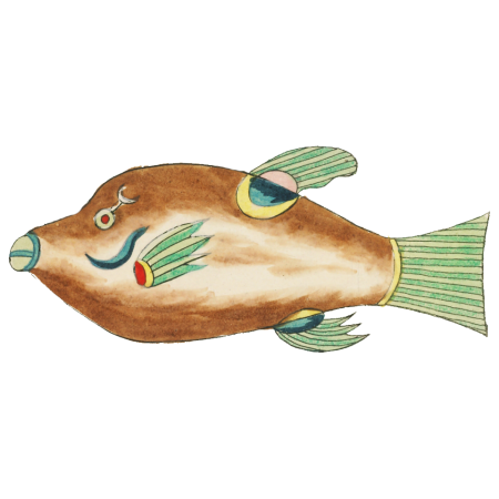 Colourful and surreal illustrations of fishes found in Moluccas (Indonesia) and the East Indies by Louis Renard (1678 -1746) from Histoire naturelle des plus rares curiositez de la mer des Indes (1754).