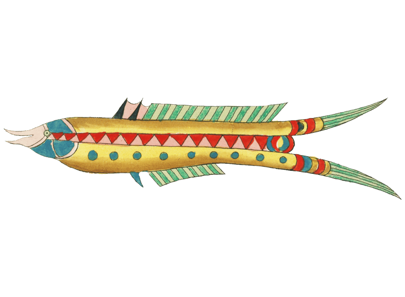 Colourful and surreal illustrations of fishes found in Moluccas (Indonesia) and the East Indies by Louis Renard (1678 -1746) from Histoire naturelle des plus rares curiositez de la mer des Indes (1754).