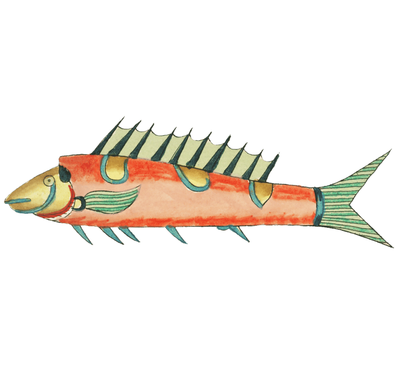 Colourful and surreal illustrations of fishes found in Moluccas (Indonesia) and the East Indies by Louis Renard (1678 -1746) from Histoire naturelle des plus rares curiositez de la mer des Indes (1754).