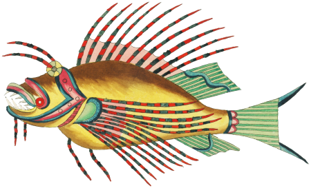 Colourful and surreal illustrations of fishes found in Moluccas (Indonesia) and the East Indies by Louis Renard (1678 -1746) from Histoire naturelle des plus rares curiositez de la mer des Indes (1754).