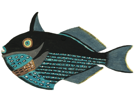 Colourful and surreal illustrations of fishes found in Moluccas (Indonesia) and the East Indies by Louis Renard (1678 -1746) from Histoire naturelle des plus rares curiositez de la mer des Indes (1754).