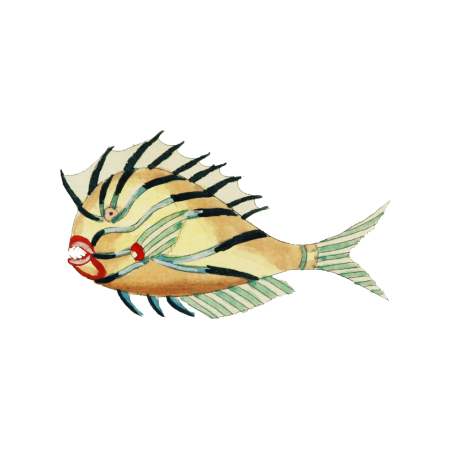 Colourful and surreal illustrations of fishes and crab found in the Indian and Pacific Oceans by Louis Renard (1678 -1746) from Histoire naturelle des plus rares curiositez de la mer des Indes (1754).