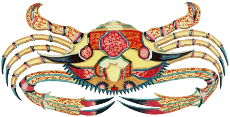 Colourful and surreal illustrations of fishes and crab found in the Indian and Pacific Oceans by Louis Renard (1678 -1746) from Histoire naturelle des plus rares curiositez de la mer des Indes (1754).
