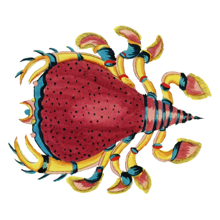 Colourful and surreal illustrations of fishes and crabs found in Moluccas (Indonesia) and the East Indies by Louis Renard (1678 -1746) from Histoire naturelle des plus rares curiositez de la mer des Indes (1754).