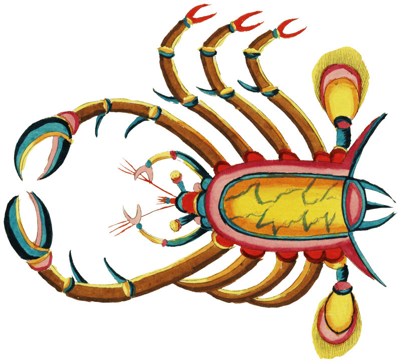 Colourful and surreal illustrations of fishes and crabs found in Moluccas (Indonesia) and the East Indies by Louis Renard (1678 -1746) from Histoire naturelle des plus rares curiositez de la mer des Indes (1754).