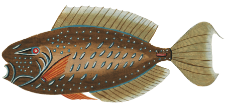 Colourful and surreal illustrations of fishes found in Moluccas (Indonesia) and the East Indies by Louis Renard (1678 -1746) from Histoire naturelle des plus rares curiositez de la mer des Indes (1754).
