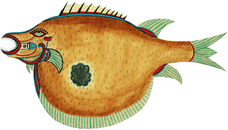 Colourful and surreal illustrations of fishes found in Moluccas (Indonesia) and the East Indies by Louis Renard (1678 -1746) from Histoire naturelle des plus rares curiositez de la mer des Indes (1754).
