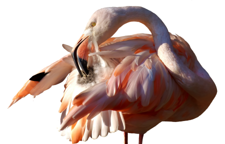 Tierpark hellabrunn cropping exemption