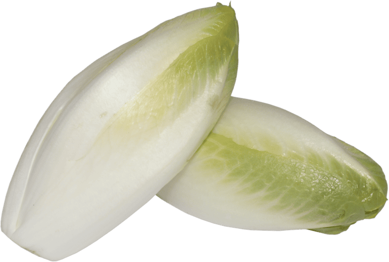 Cabbage corrugated leaves the cultivation of